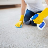 Revitalize Carpet Spotter - Carpet Cleaning Solution