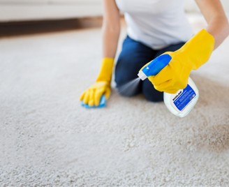 Revitalize Carpet Spotter - Giải Pháp Vệ Sinh Thảm